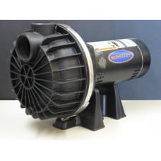 pompe-centirrig2hp-berkeley-bpdh20-228x228